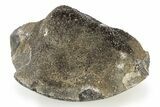Bargain, Polished Septarian Geode Section - Black Crystals #251553-1
